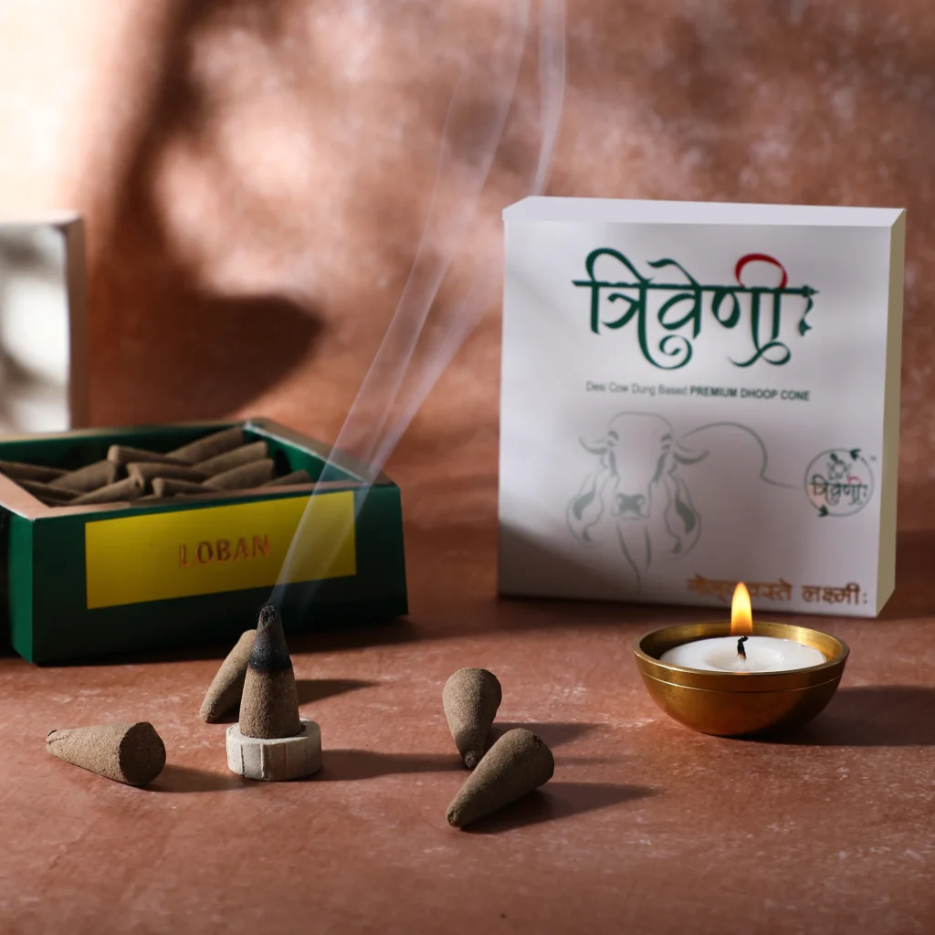 Triveni Organics Desi Cow Dung Dhoop Cones | Natural Incense Cones | Long Lasting Natural Cone Dhoop for Puja | Dhoop Cone 30 Pieces with 1 Holder (Loban)