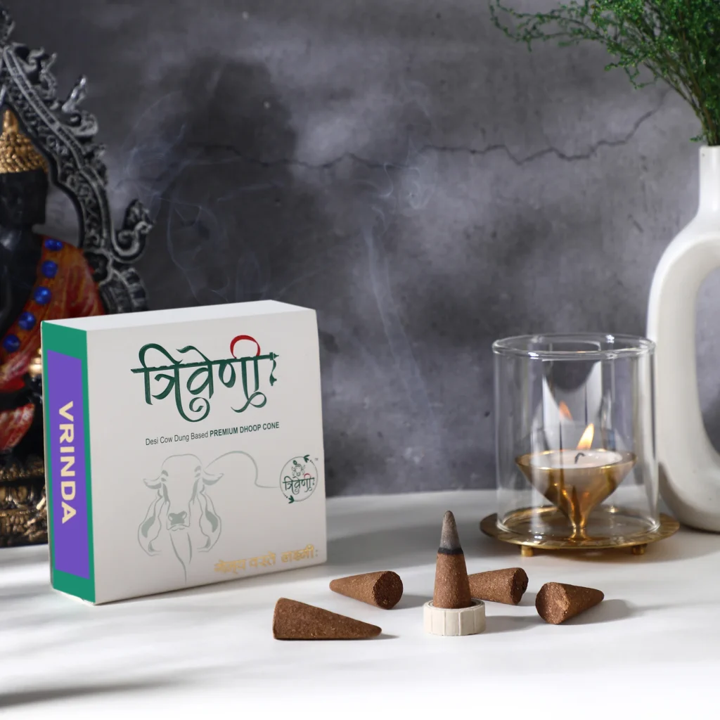 Triveni Organics Desi Cow Dung Dhoop Cones | Natural Incense Cones | Long Lasting Natural Cone Dhoop for Puja | Dhoop Cone 30 Pieces with 1 Holder (Vrinda)