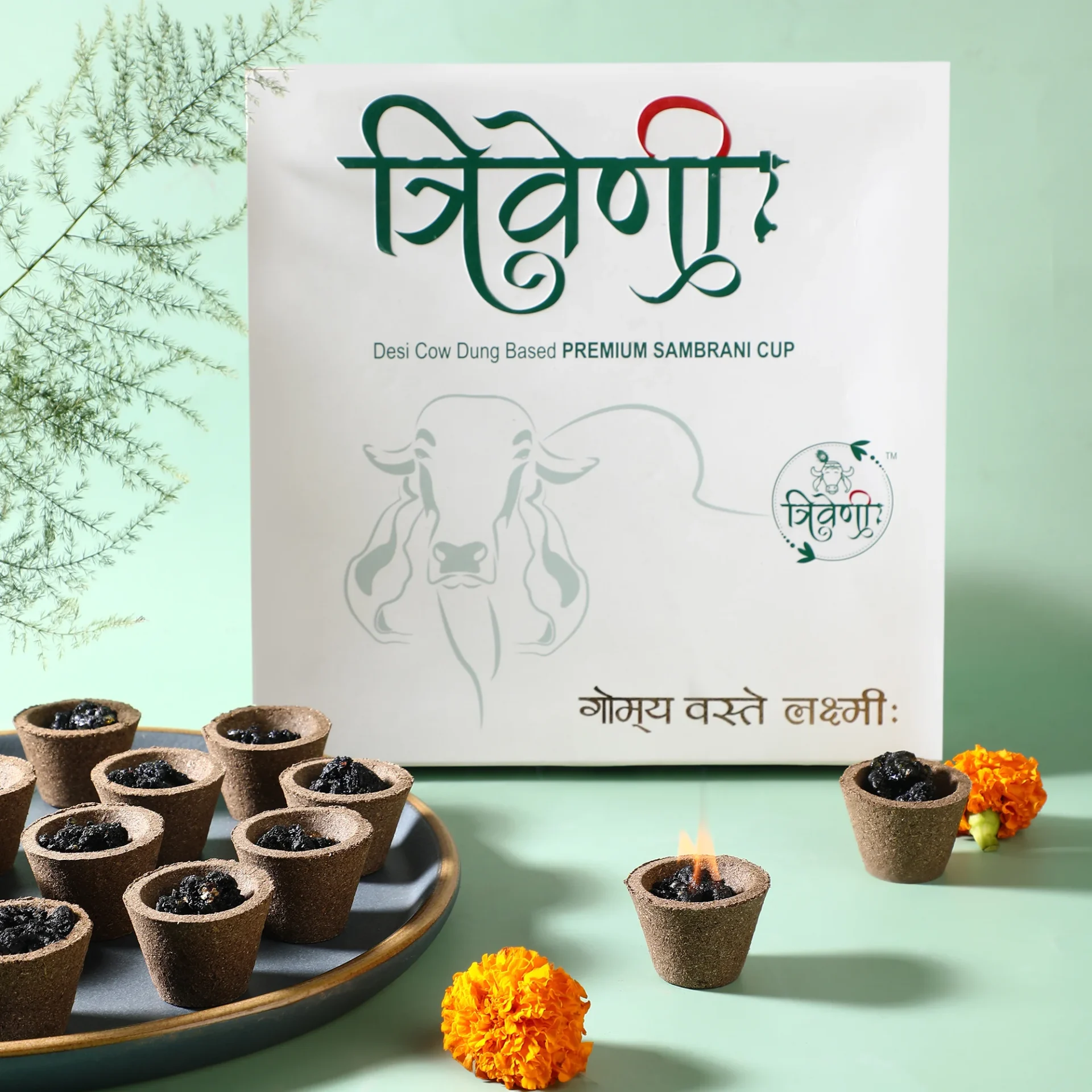 Sambrani Cups