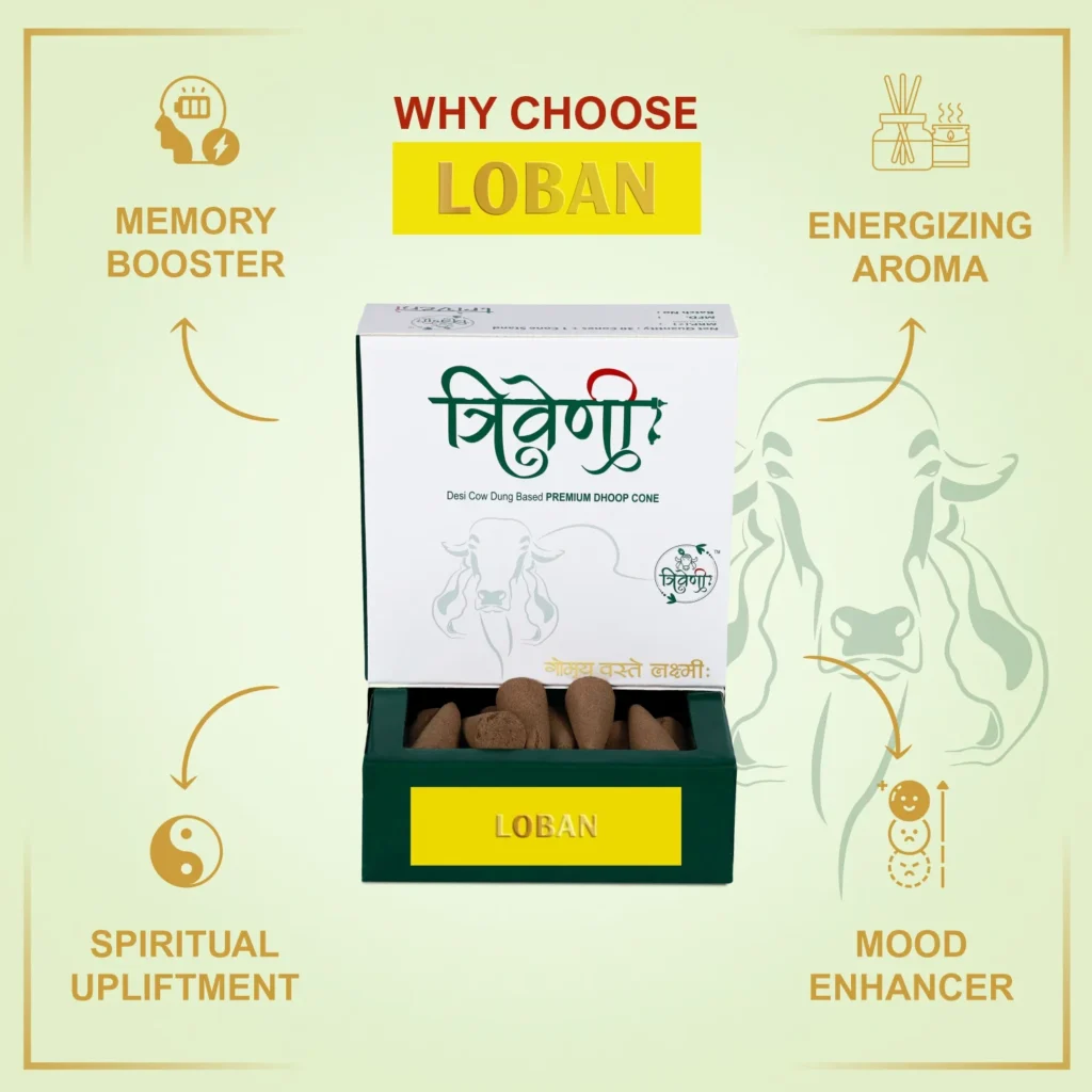 Triveni Organics Desi Cow Dung Dhoop Cones | Natural Incense Cones | Long Lasting Natural Cone Dhoop for Puja | Dhoop Cone 30 Pieces with 1 Holder (Loban)