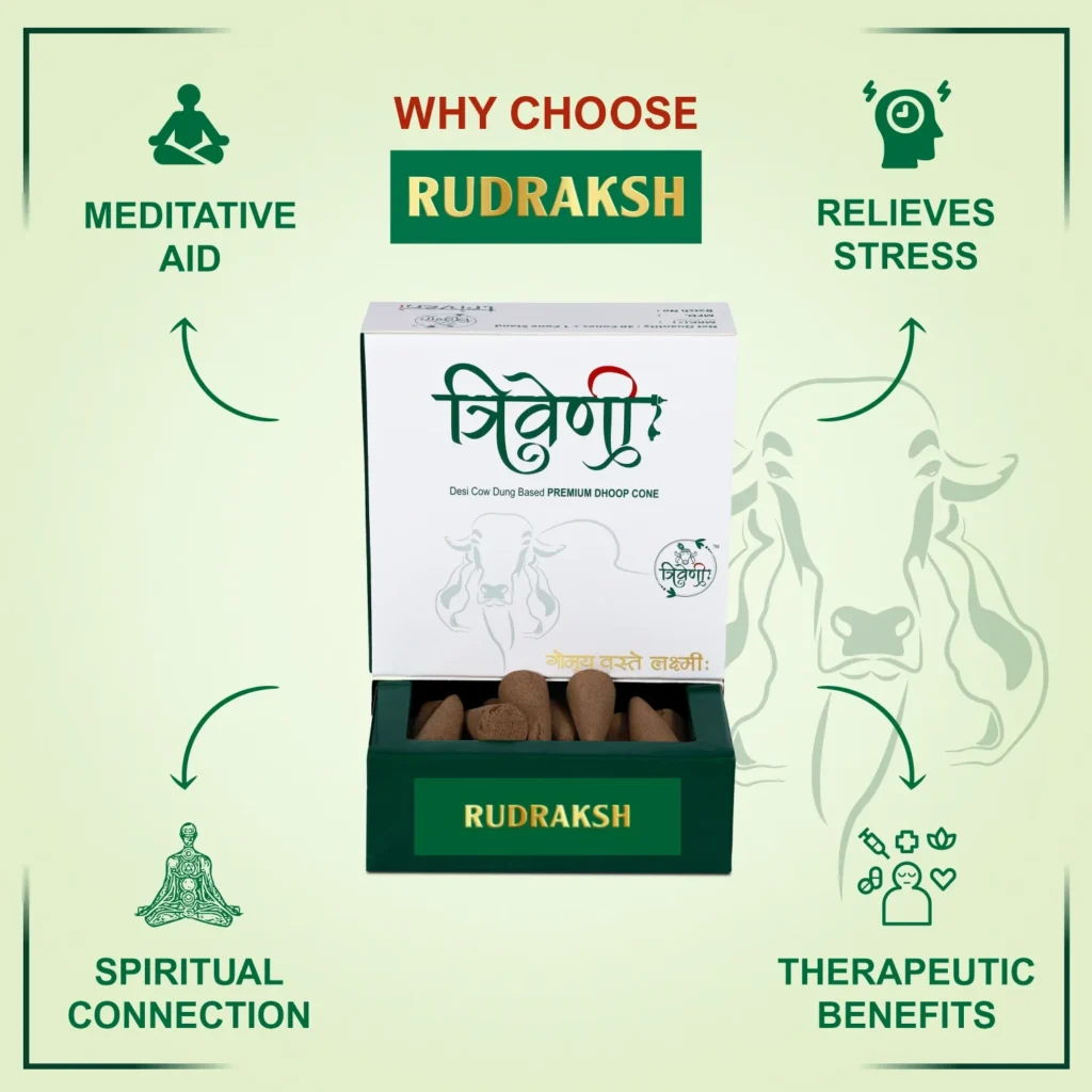 Rudraksh Incense Cone