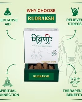 Rudraksh Incense Cone