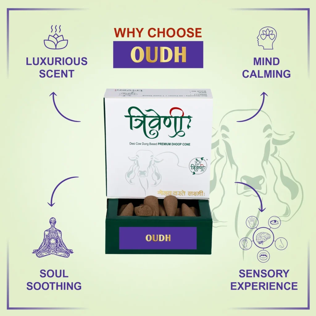 Triveni Organics Desi Cow Dung Dhoop Cones | Natural Incense Cones | Long Lasting Natural Cone Dhoop for Puja | Dhoop Cone 30 Pieces with 1 Holder (Oudh))