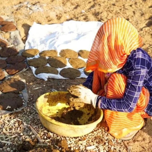 CowDung preparation for fertilisation