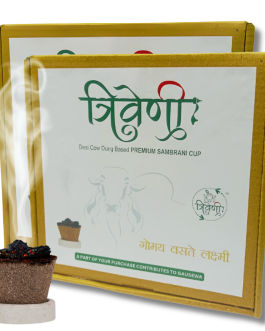 Triveni Organics Gir Cow Dung Sambrani Dhoop Cups for Pooja (12 Cups) Original Guggal & Loban Filled Sambrani Cup | Filled Sambrani Havan Cup for Pooja, Home, Festivals & Meditation