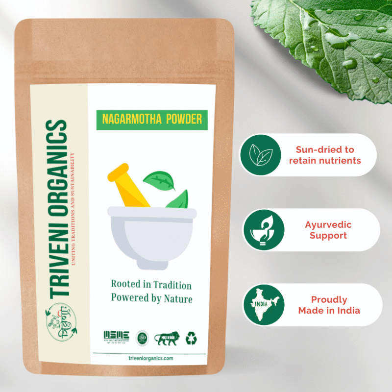 Triveni Organics Nagarmotha Powder | 100% Natural Cyperus Rotundus for Hair & Skin | Herbal Powder for Hair Pack, Face Pack & Scalp Nourishment - Image 4
