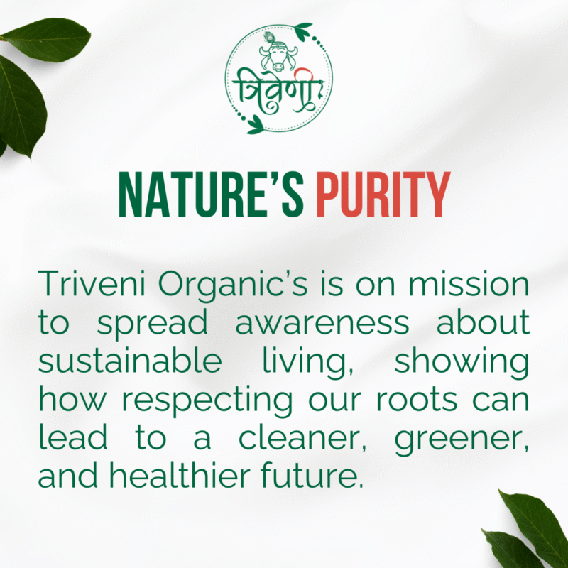 Triveni Organics Rosemary Powder | Organic Dried Rosemary Leaf Powder for Hair Growth, Herbal Tea, Skin & Natural Wellness | Pure & Fresh Rosemary Leaves Powder for Beauty & Immunity Boost - Image 5