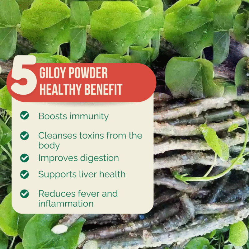 Triveni Organics Giloy Powder (Tinospora Cordifolia) – Pure & Natural Immune Booster – Supports Diabetes Management, Fever Relief, Skin Health, Weight Loss, and Hair Care - Image 3